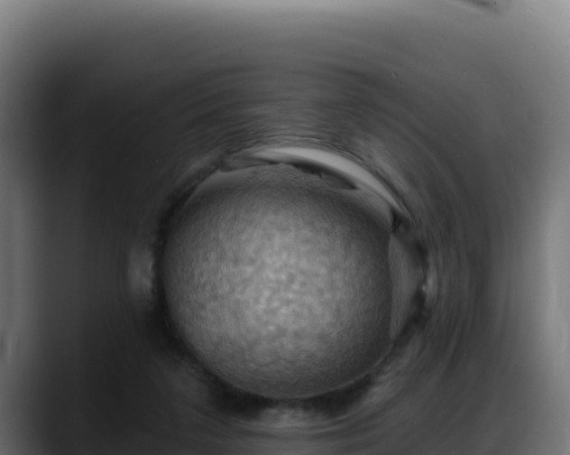 X0000088380211200705291354