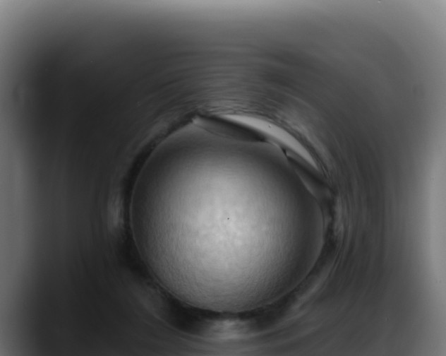 X0000088380212200705291354