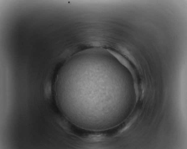 X0000088380213200705291354