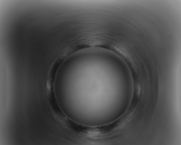 X0000088380214200705291354
