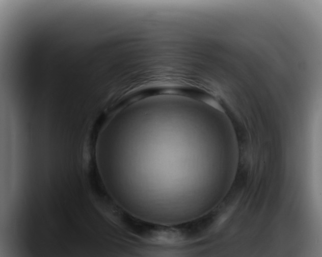 X0000088380215200705291354