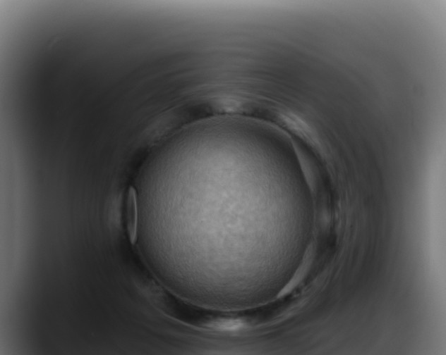 X0000088380217200705291354