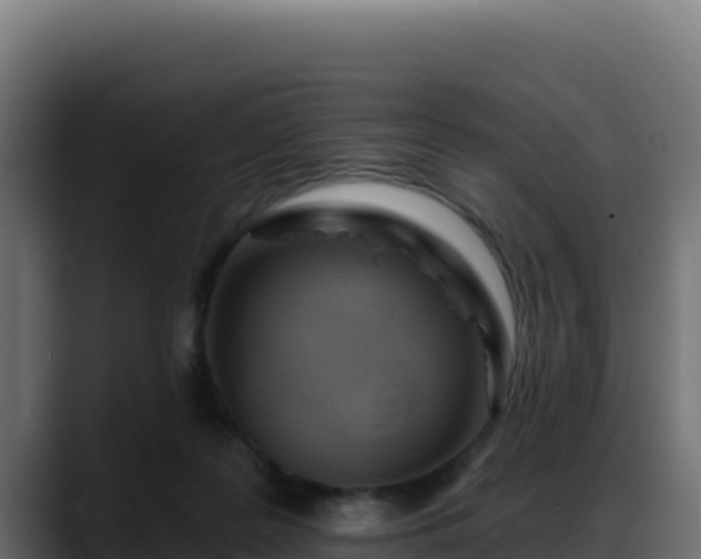 X0000088380219200705291354