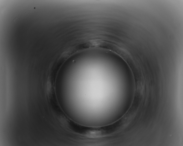 X0000088380220200705291354