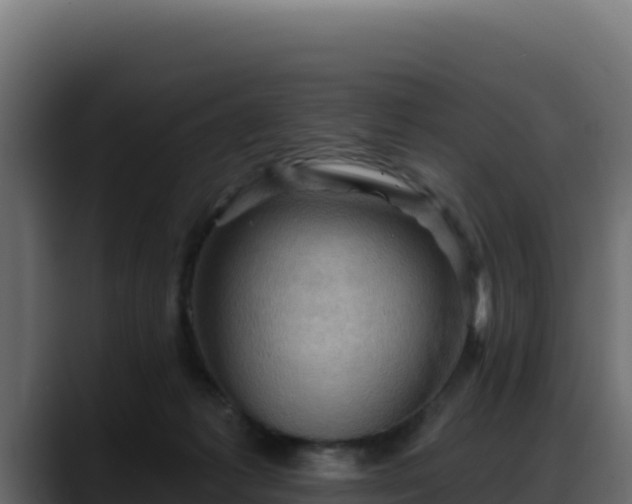 X0000088380221200705291354