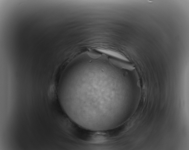 X0000088380222200705291354