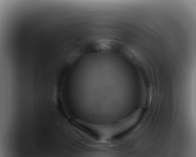 X0000088380223200705291354