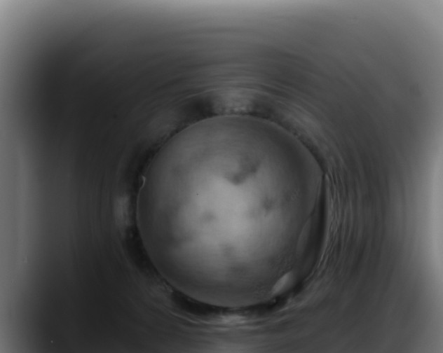 X0000088380224200705291354