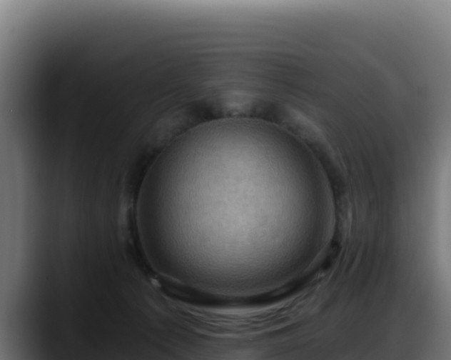 X0000088380225200705291354