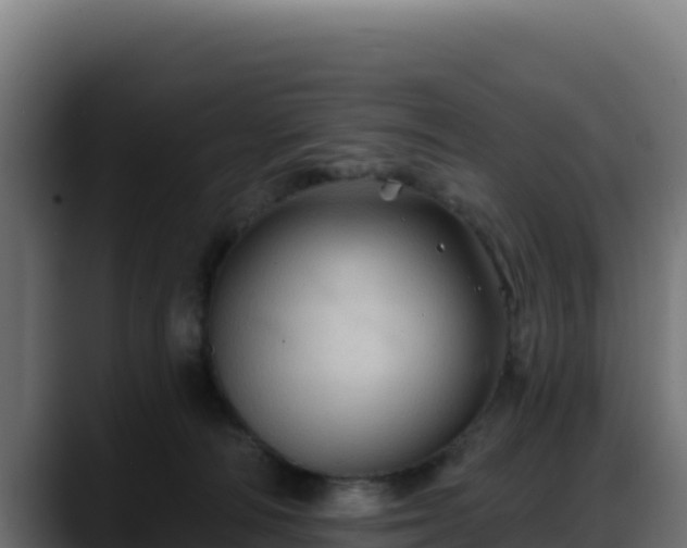 X0000088380226200705291354