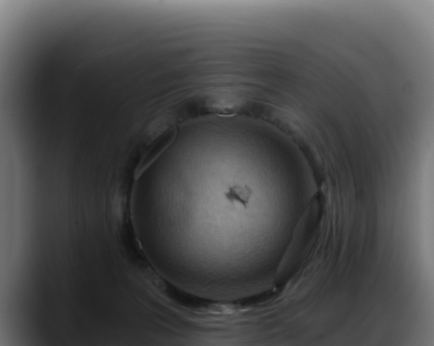 X0000088380227200705291354