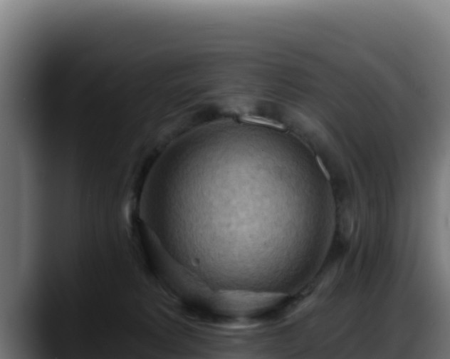 X0000088380229200705291354