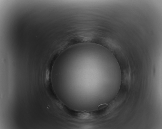 X0000088380230200705291354