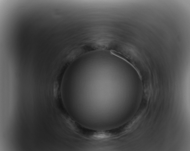 X0000088380231200705291354