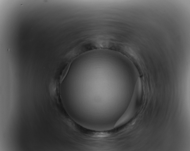 X0000088380233200705291354
