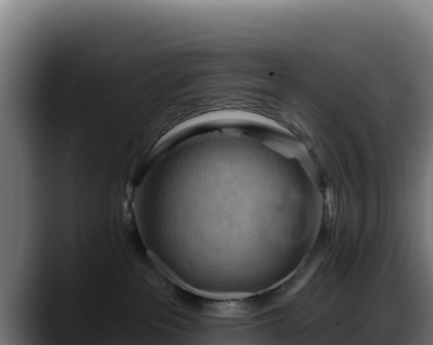 X0000088380237200705291354