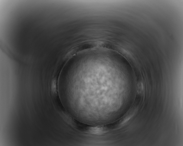 X0000088380238200705291354