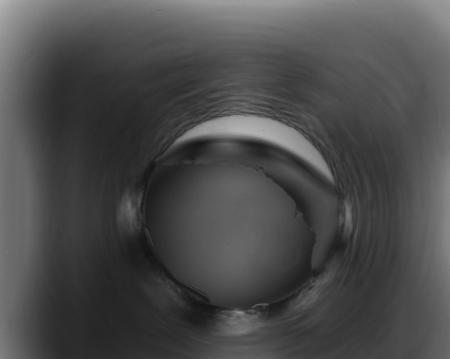 X0000088380239200705291354