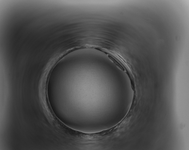 X0000088380241200705291353