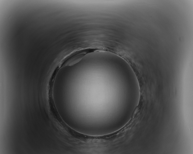 X0000088380242200705291353