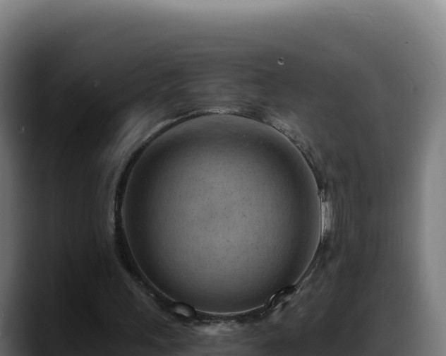 X0000088380243200705291353