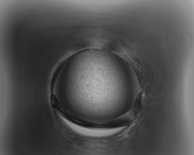 X0000088380244200705291353