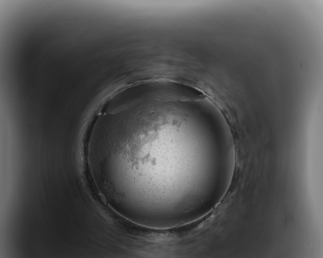 X0000088380245200705291353