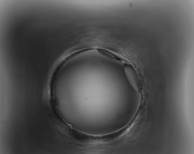 X0000088380246200705291353