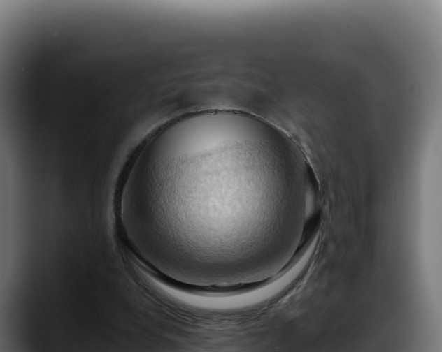 X0000088380248200705291353