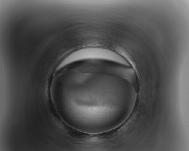 X0000088380249200705291353