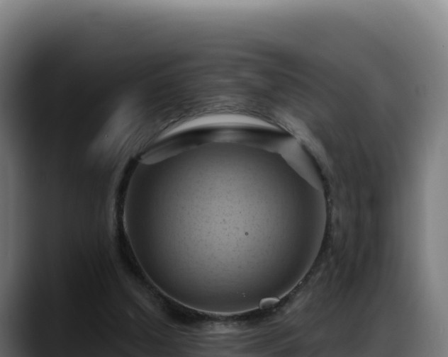 X0000088380250200705291353