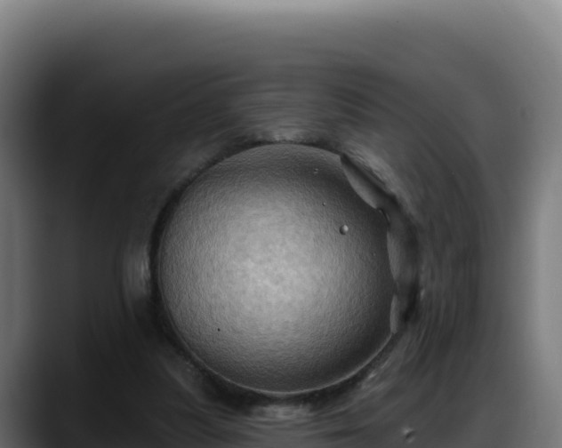X0000088380251200705291353
