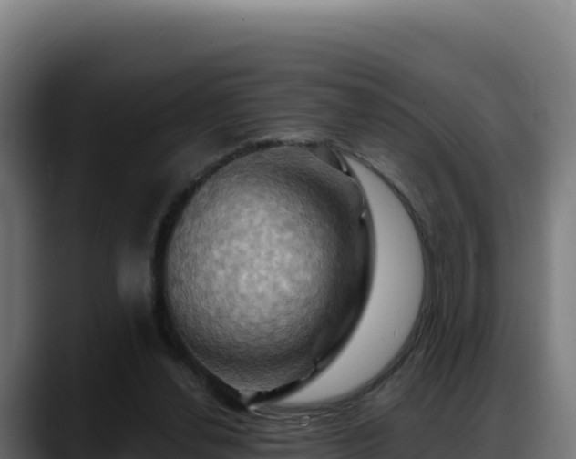 X0000088380252200705291353