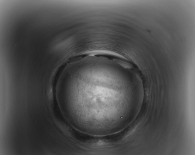 X0000088380254200705291353