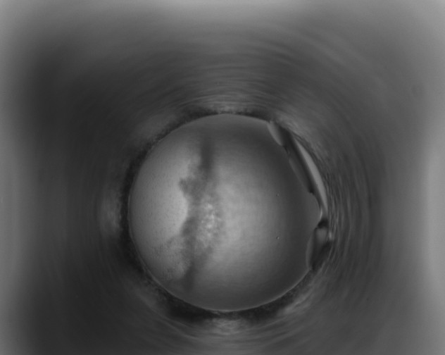 X0000088380255200705291353