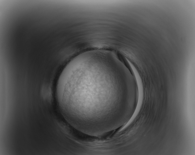 X0000088380256200705291353