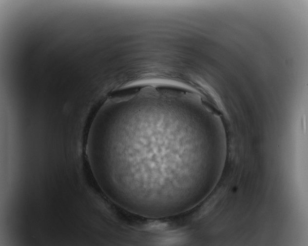 X0000088380257200705291353