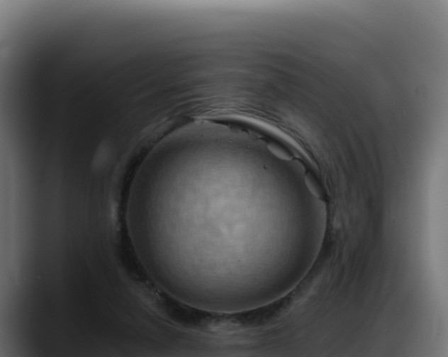 X0000088380258200705291353