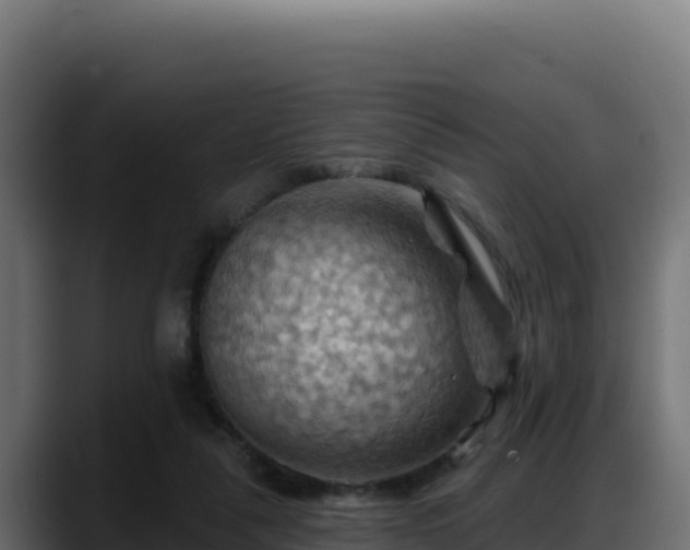 X0000088380259200705291353