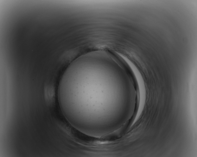 X0000088380260200705291353