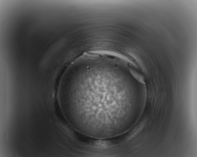 X0000088380261200705291353