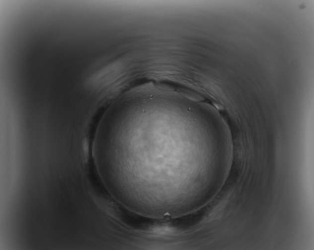 X0000088380262200705291354
