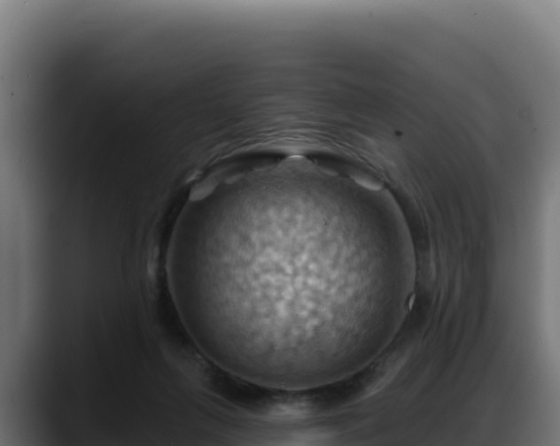 X0000088380263200705291354