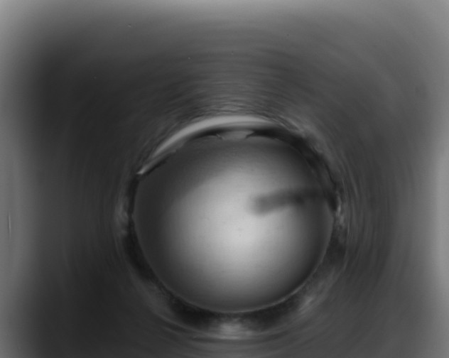 X0000088380264200705291354