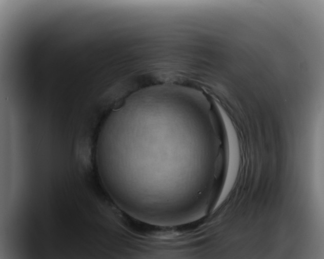 X0000088380266200705291354