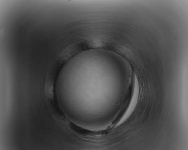 X0000088380267200705291354