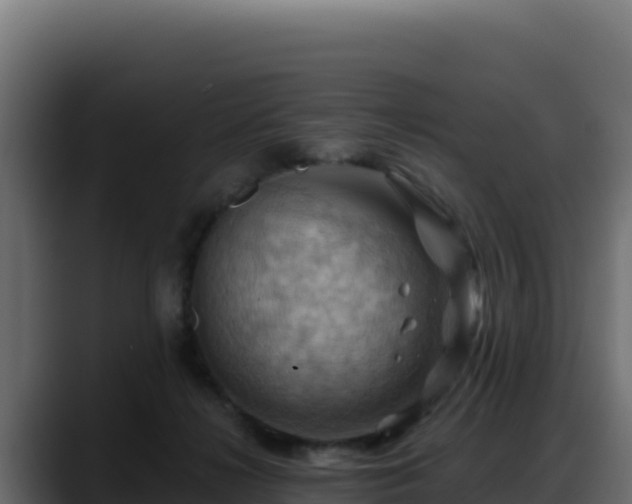 X0000088380268200705291354