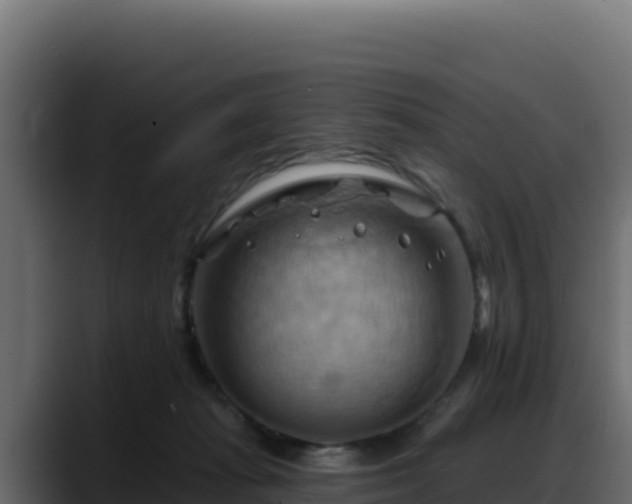 X0000088380269200705291354