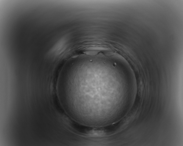 X0000088380270200705291354