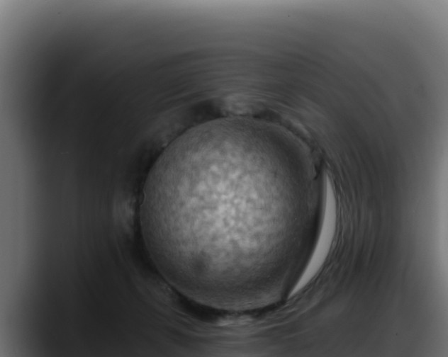 X0000088380271200705291354